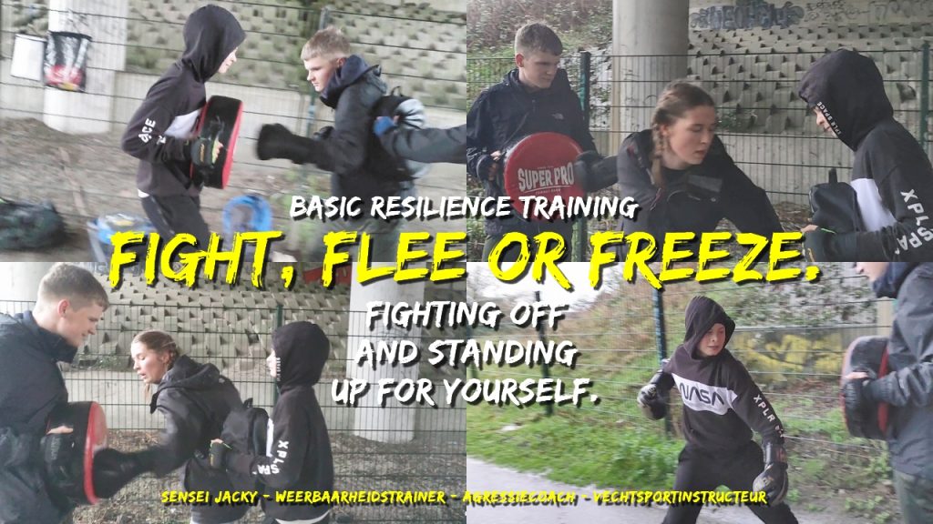 Basic resilience training, fight, flee, freeze, setting your boundaries, take back control