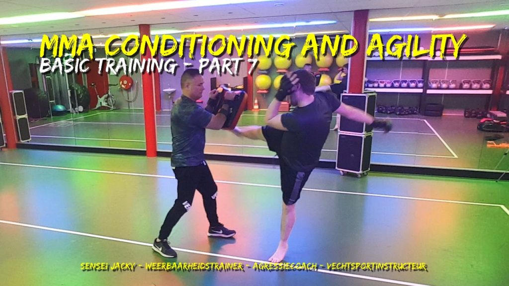 Basic mma conditioning and agility training, body kick, middle kick, hammer strike, hiit