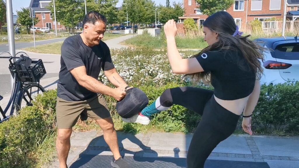 groin kick, kin geri, crotch kick, kick in the balls, kick in the nuts, low blow attack, kick chick