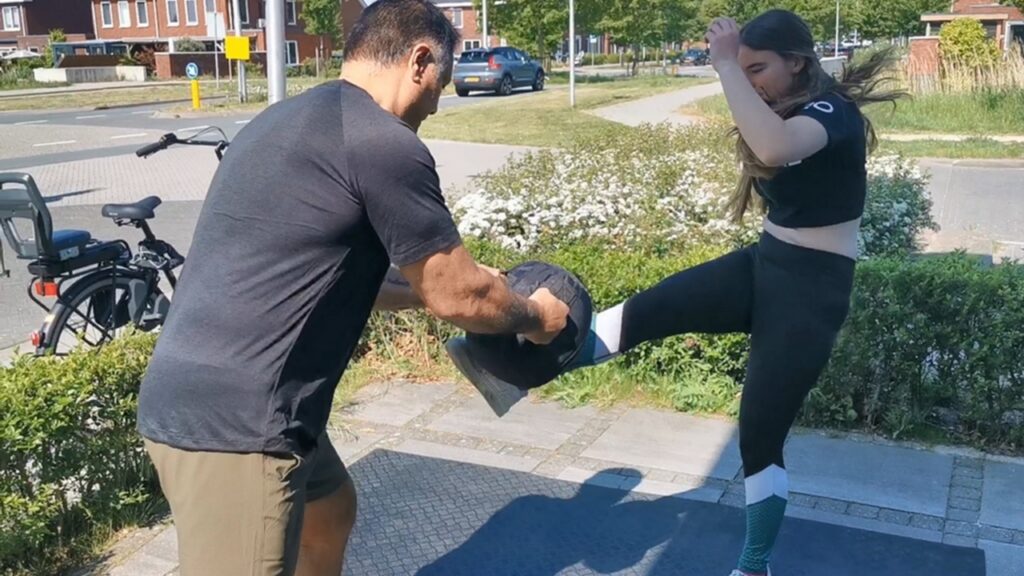 groin kick, kin geri, crotch kick, kick in the balls, kick in the nuts, low blow attack, kick chick